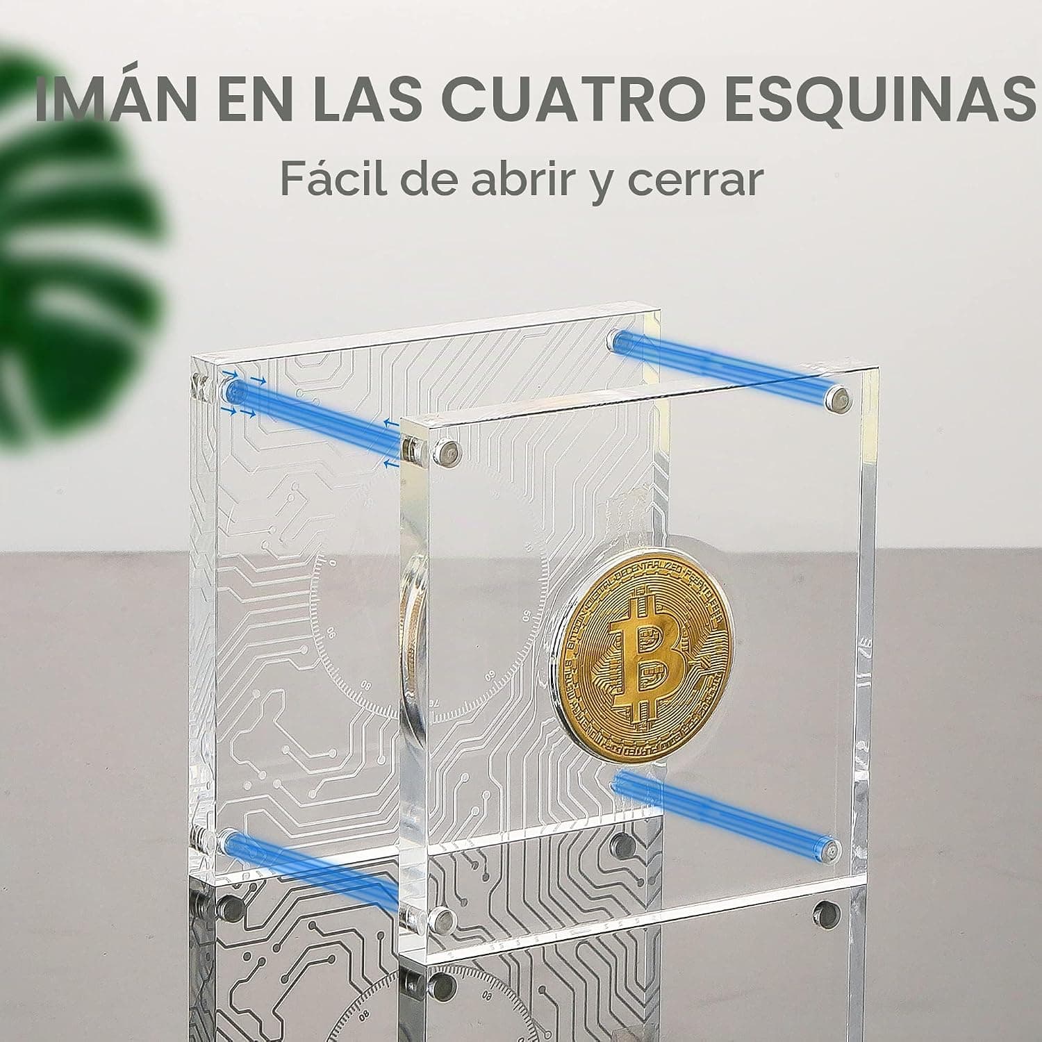 Set de monedas cripto chapadas en oro (exhibidor)